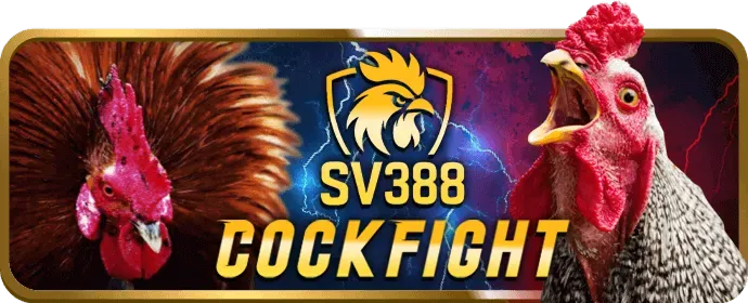 Chơi Slot Game Win79 trên mọi thiết bị di động